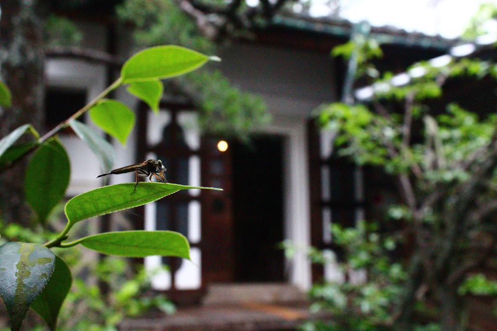 Naramachi Hostel & Restaurant Exterior foto